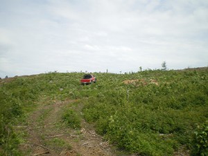 20120120-306